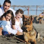 News On Topic depositphotos_4361853-stock-photo-happy-family-playing-with-dog-150x150 Surprising Health Benefits of Owning a Dog Health Life Pets 
