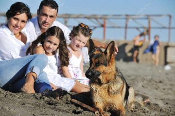 News On Topic depositphotos_4361853-stock-photo-happy-family-playing-with-dog-360x240 Surprising Health Benefits of Owning a Dog Health Life Pets 